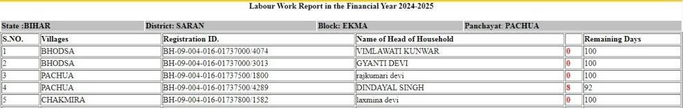 Labour Work Report